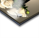 Vase of Respect Acrylic print