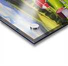 Farm Life 5 Acrylic print