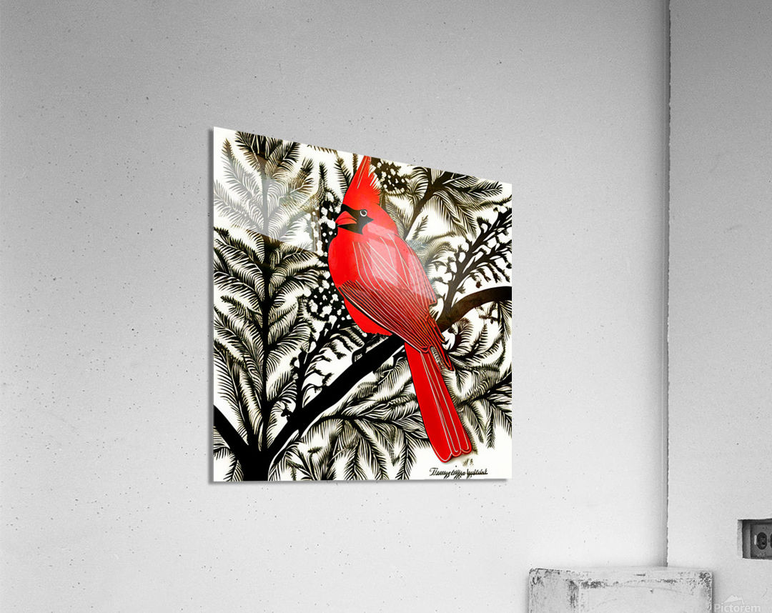 Perched. Cardinal.  Acrylic Print