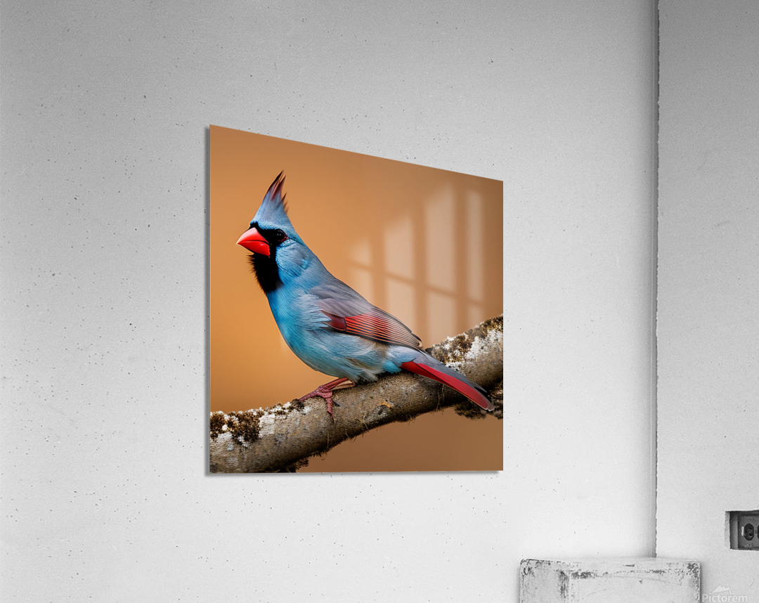 Colorful Cardinal  Acrylic Print