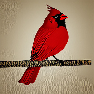 The Observing Cardinal 