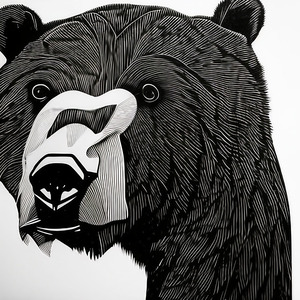 The Bear. Line Art.