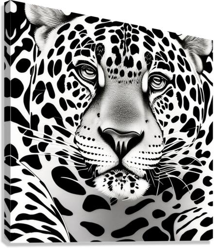 The Stare Canvas Print