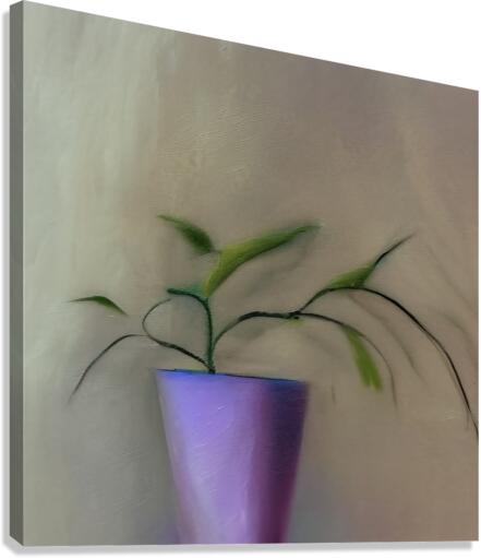 Rooted. Canvas Print