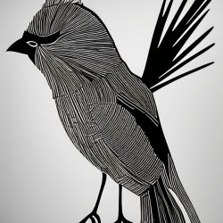 Memorized. Cardinal.