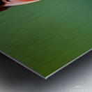 Attentive. Cardinal. Metal print