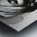 Silhouette of Strength Collection 1 - The Artful Mane 44 Metal print