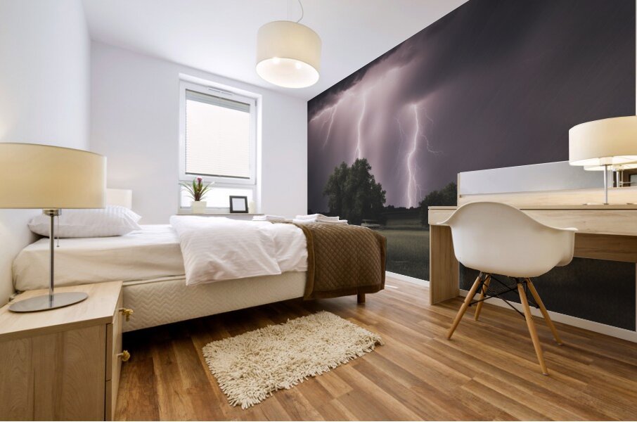 TAME Gallery 1 27 Mural print