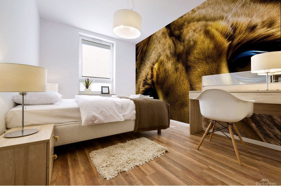 Focused. Eyes. Mural print