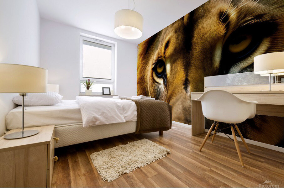 One Glance. Lion Mural print