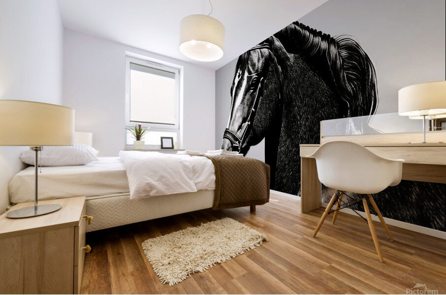 Sinbad. Horse. Line Art. Mural print