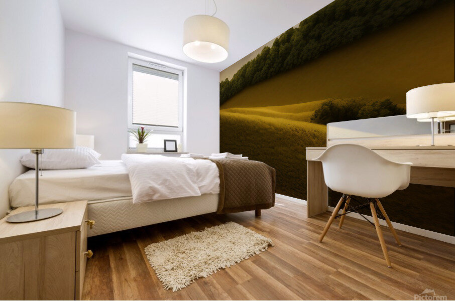 The Epic View Mural print