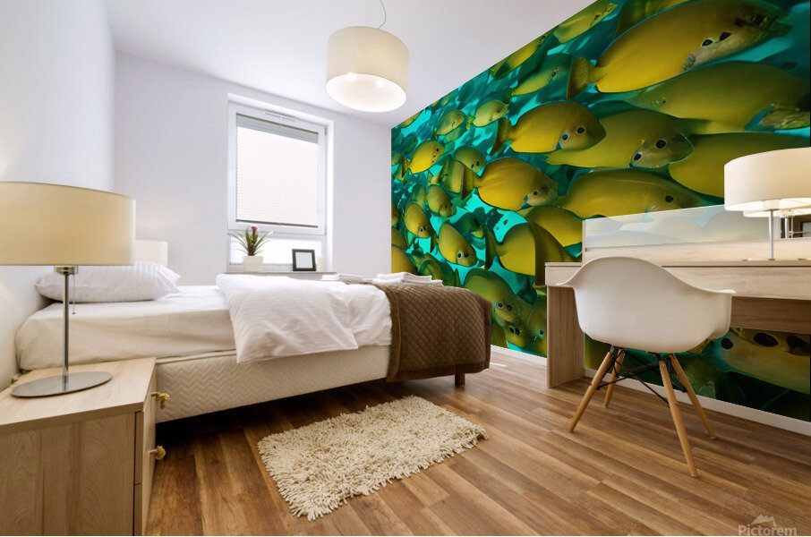 Infiltrated.  Mural print