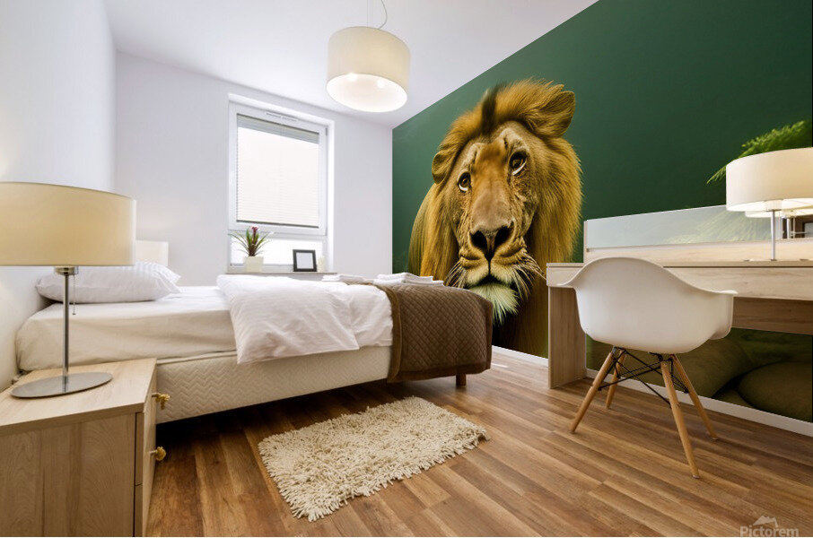 Lion. Playtime. Mural print