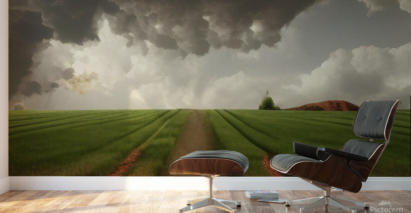 Transitions Wall Murals