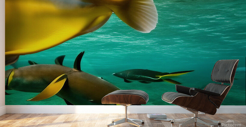 The Tail End. Wall Murals