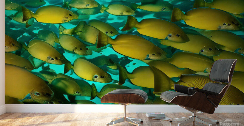 Infiltrated.  Wall Murals