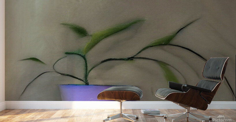 Rooted. Wall Murals