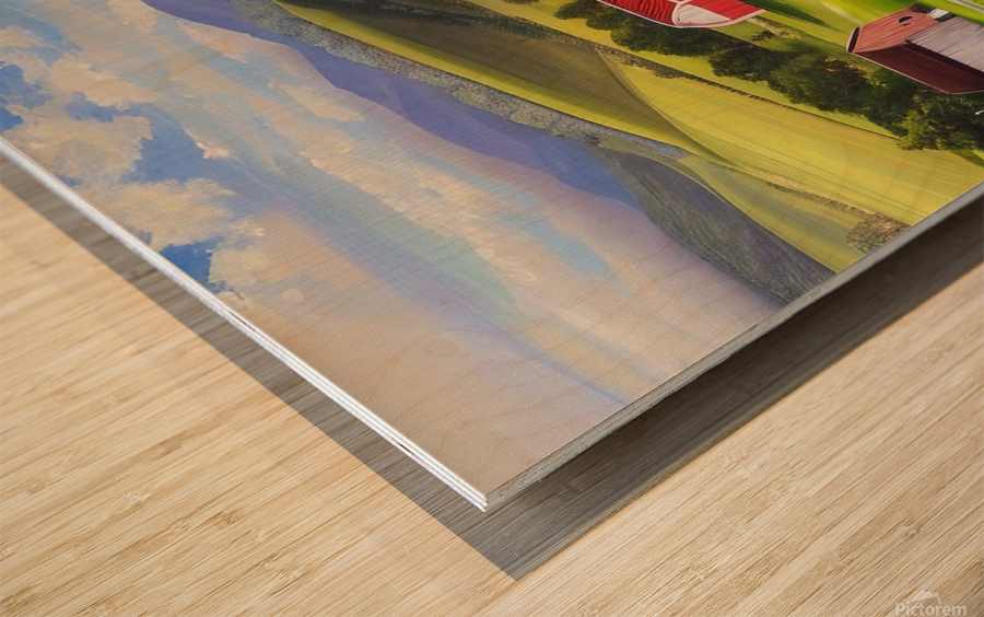 Farm Life 5 Wood print