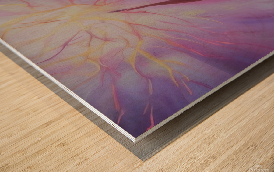 Twilight. Abstract. Wood print